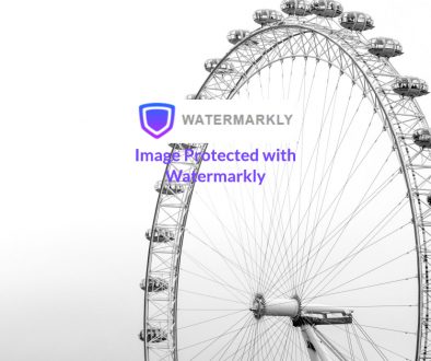 watermarkly product review howto